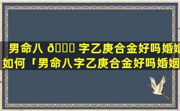 男命八 🐈 字乙庚合金好吗婚姻如何「男命八字乙庚合金好吗婚姻如何化解」